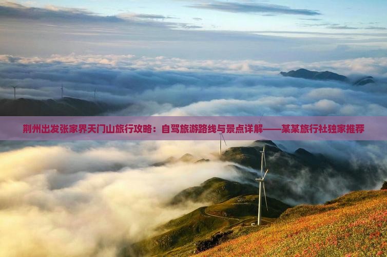 荆州出发张家界天门山旅行攻略：自驾旅游路线与景点详解——某某旅行社独家推荐