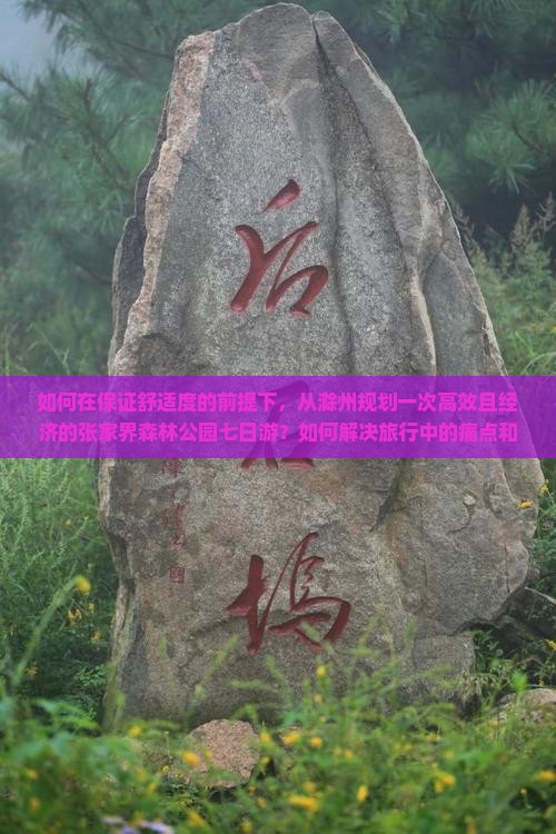如何在保证舒适度的前提下，从滁州规划一次高效且经济的张家界森林公园七日游？如何解决旅行中的痛点和热门问题？