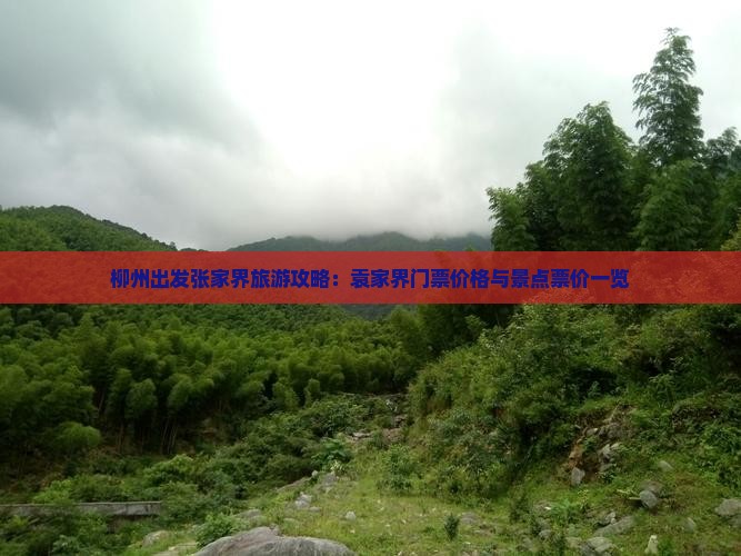 柳州出发张家界旅游攻略：袁家界门票价格与景点票价一览