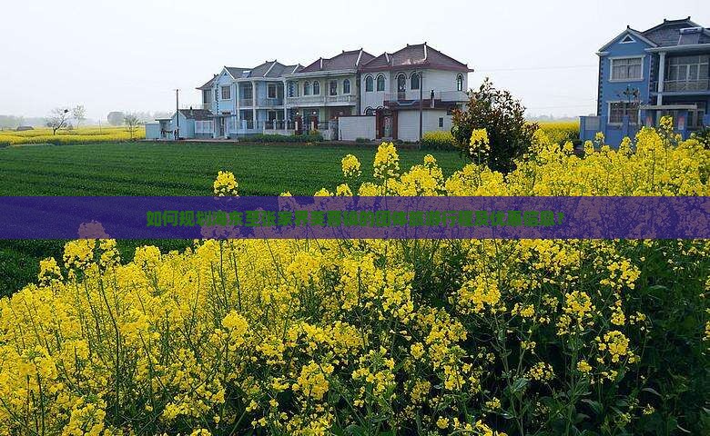 如何规划海东至张家界芙蓉镇的团体旅游行程及优惠信息？
