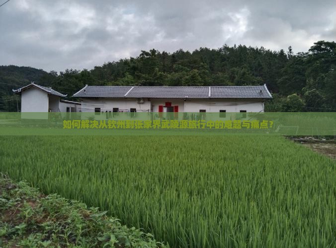 如何解决从钦州到张家界武陵源旅行中的难题与痛点？
