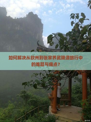 如何解决从钦州到张家界武陵源旅行中的难题与痛点？