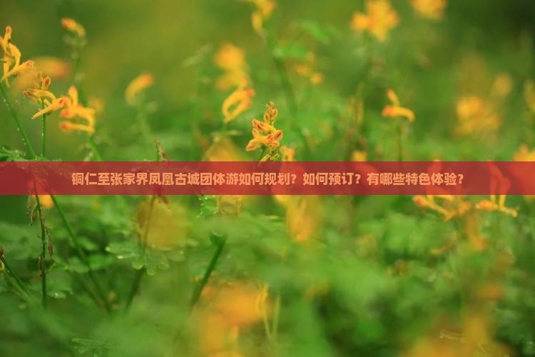 铜仁至张家界凤凰古城团体游如何规划？如何预订？有哪些特色体验？