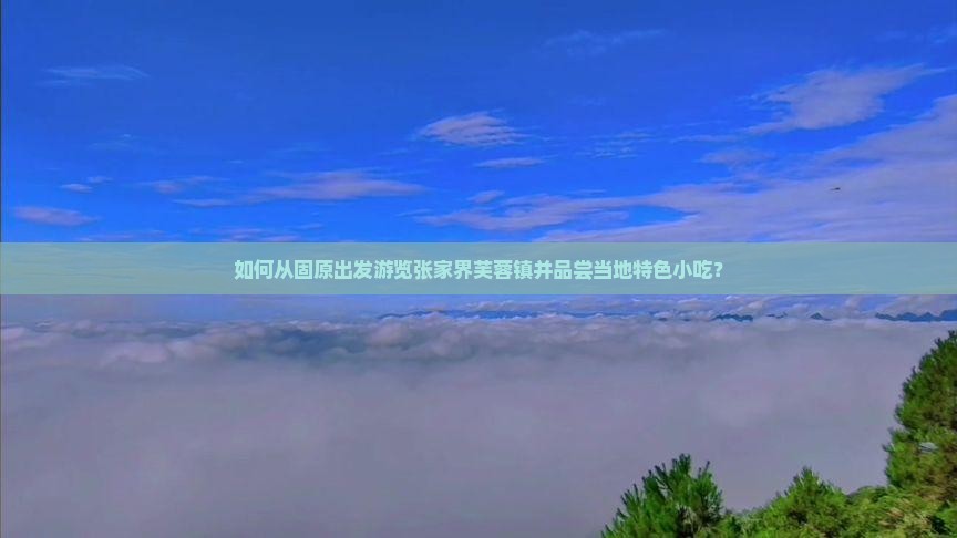 如何从固原出发游览张家界芙蓉镇并品尝当地特色小吃？