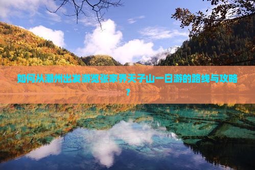 如何从潮州出发游览张家界天子山一日游的路线与攻略？