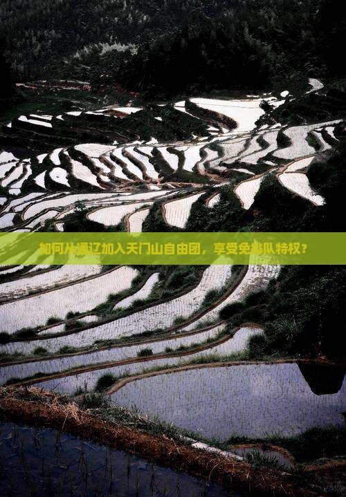 如何从通辽加入天门山自由团，享受免排队特权？