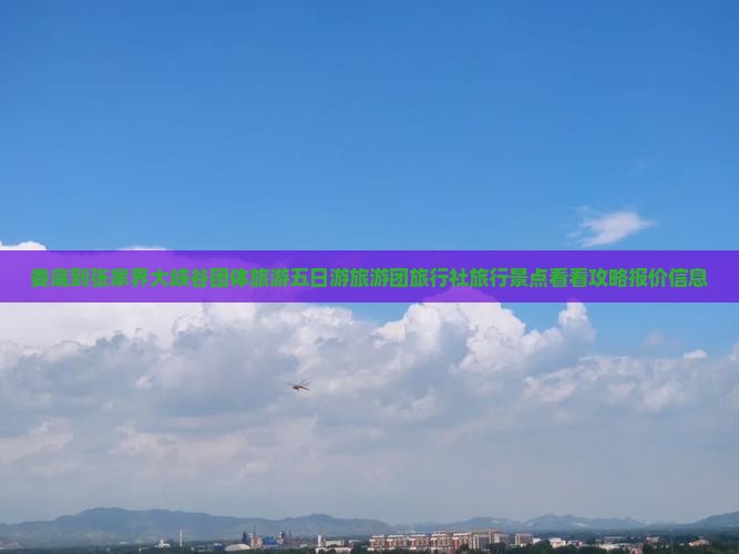 娄底到张家界大峡谷团体旅游五日游旅游团旅行社旅行景点看看攻略报价信息