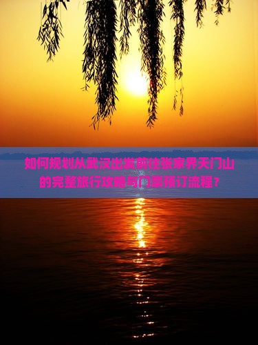 如何规划从武汉出发前往张家界天门山的完整旅行攻略与门票预订流程？