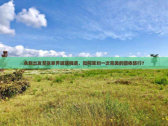 永新出发至张家界玻璃栈道，如何策划一次完美的团体旅行？