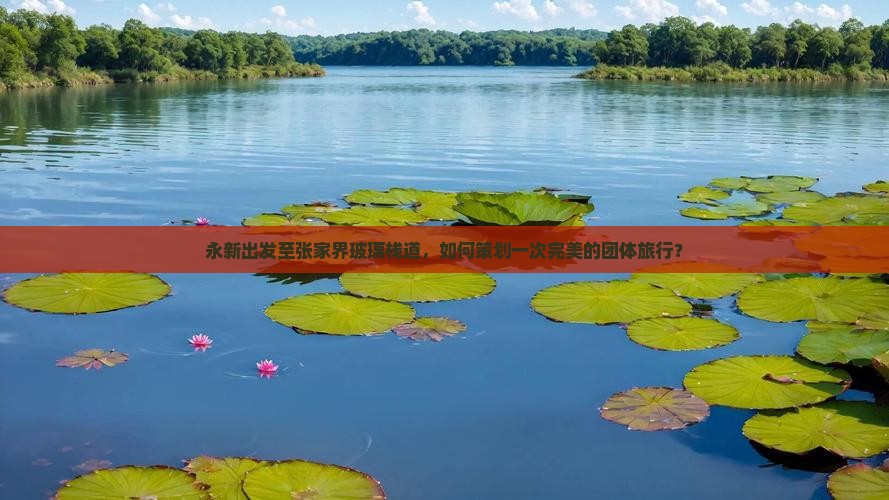 永新出发至张家界玻璃栈道，如何策划一次完美的团体旅行？