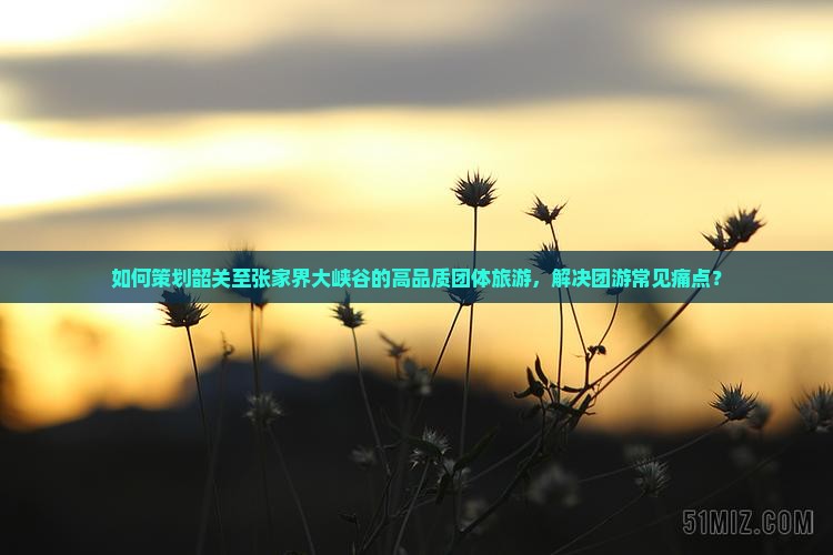 如何策划韶关至张家界大峡谷的高品质团体旅游，解决团游常见痛点？