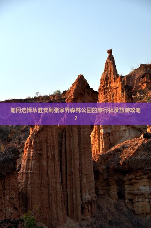 如何选择从淮安到张家界森林公园的旅行社及旅游攻略？