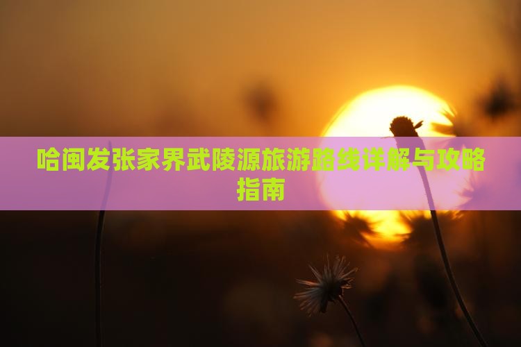 哈闽发张家界武陵源旅游路线详解与攻略指南