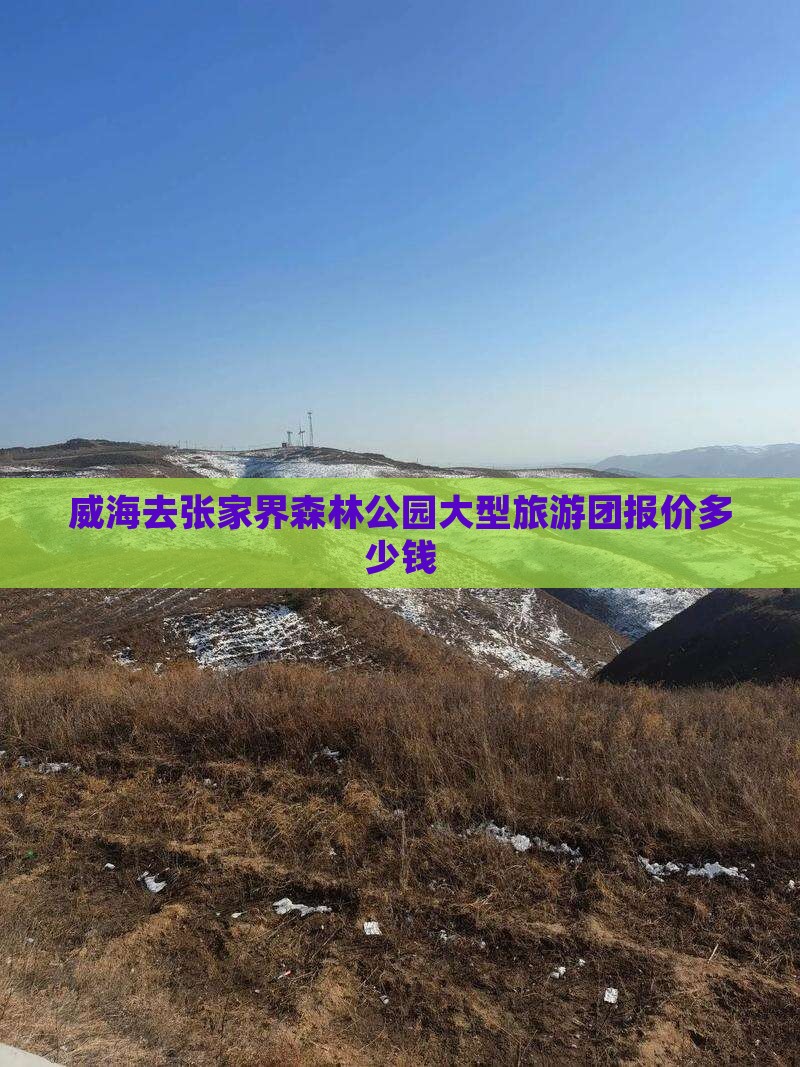 威海去张家界森林公园大型旅游团报价多少钱