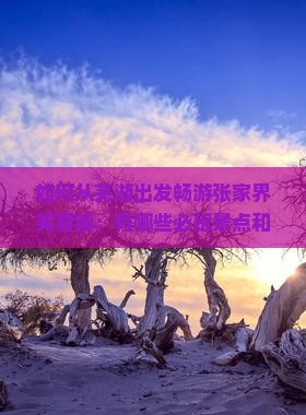 如何从芜湖出发畅游张家界芙蓉镇：有哪些必玩景点和新奇体验？