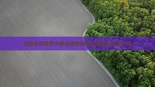 海西去张家界大峡谷团体旅游优惠多纯玩无购物