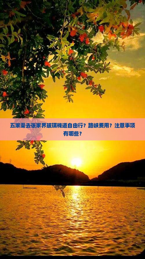五家渠去张家界玻璃栈道自由行？路峡费用？注意事项有哪些？