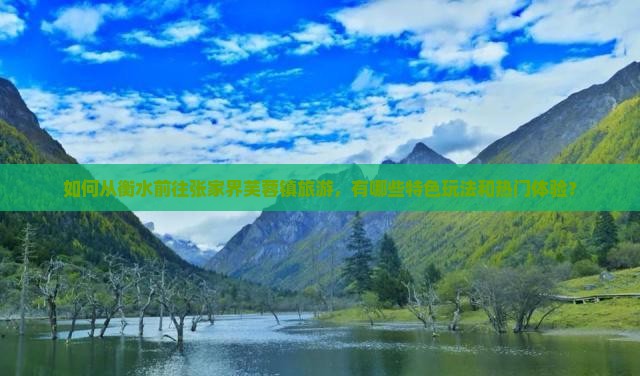 如何从衡水前往张家界芙蓉镇旅游，有哪些特色玩法和热门体验？