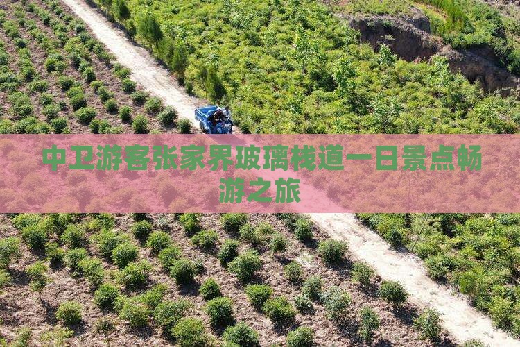 中卫游客张家界玻璃栈道一日景点畅游之旅