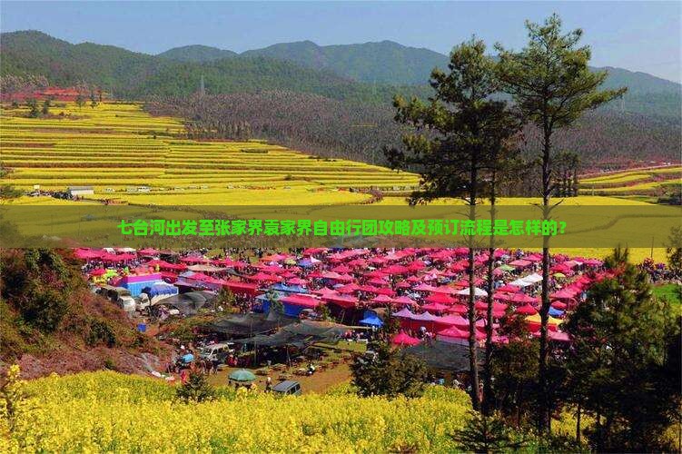 七台河出发至张家界袁家界自由行团攻略及预订流程是怎样的？