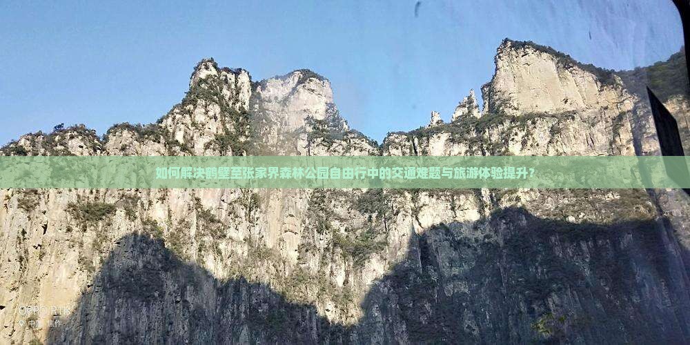 如何解决鹤壁至张家界森林公园自由行中的交通难题与旅游体验提升？