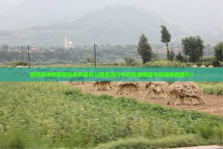 如何解决鹤壁至张家界森林公园自由行中的交通难题与旅游体验提升？