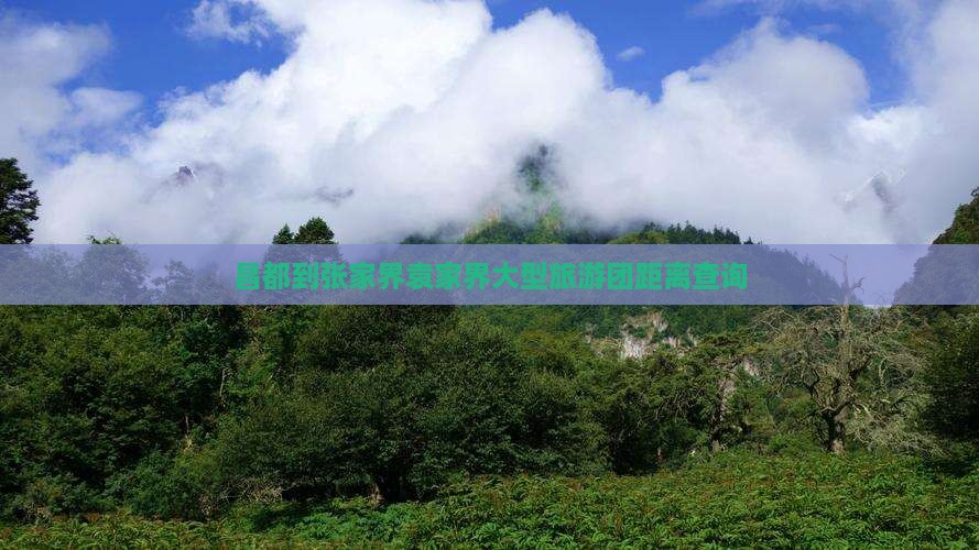 昌都到张家界袁家界大型旅游团距离查询