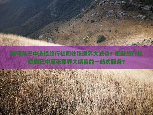 如何从巴中选择旅行社前往张家界大峡谷？哪些旅行社提供巴中至张家界大峡谷的一站式服务？