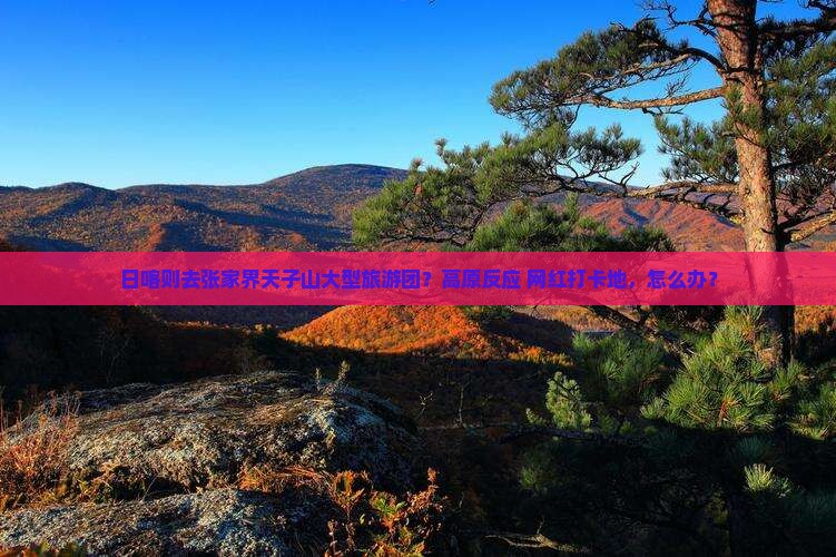 日喀则去张家界天子山大型旅游团？高原反应+网红打卡地，怎么办？