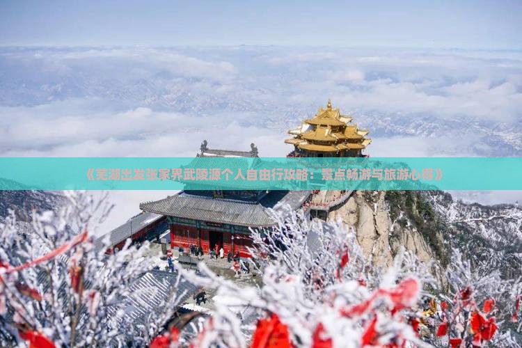 《芜湖出发张家界武陵源个人自由行攻略：景点畅游与旅游心得》