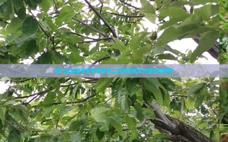 荆门出发至张家界袁家界二日游攻略及交通住宿推荐