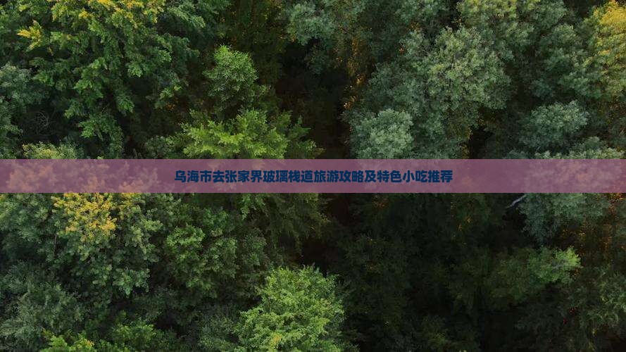乌海市去张家界玻璃栈道旅游攻略及特色小吃推荐
