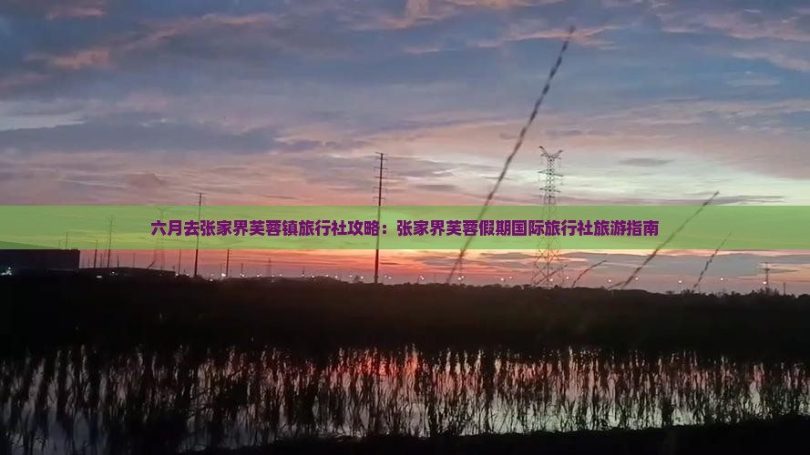 六月去张家界芙蓉镇旅行社攻略：张家界芙蓉假期国际旅行社旅游指南