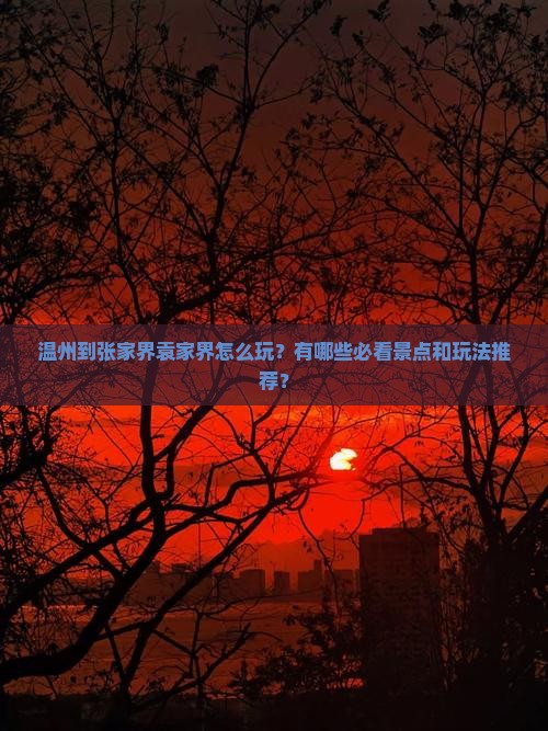 温州到张家界袁家界怎么玩？有哪些必看景点和玩法推荐？
