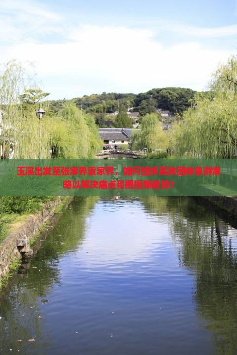 玉溪出发至张家界袁家界，如何组织高效团体旅游策略以解决痛点和把握新趋势？