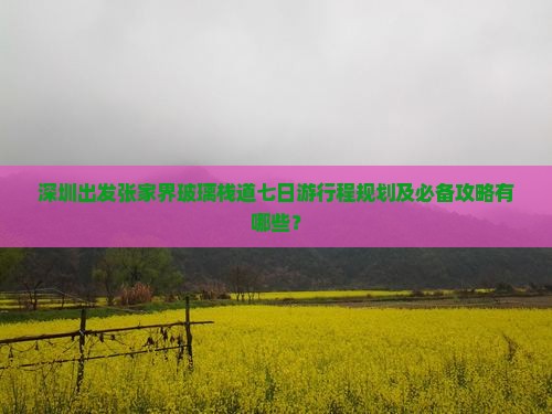 深圳出发张家界玻璃栈道七日游行程规划及必备攻略有哪些？
