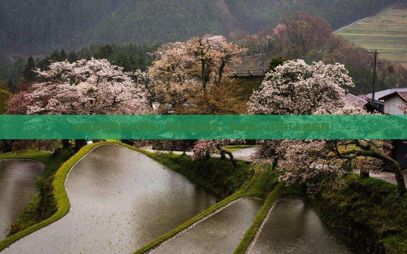 铁岭到张家界必去地？旅行预算吃紧？快来看小红书打卡地推荐！