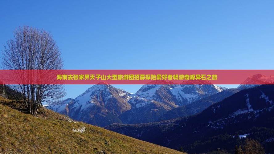 海南去张家界天子山大型旅游团招募探险爱好者畅游奇峰异石之旅