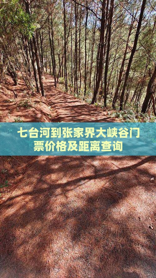 七台河到张家界大峡谷门票价格及距离查询