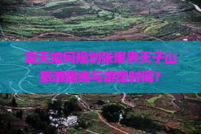 夏天如何规划张家界天子山旅游路线与游览时间？