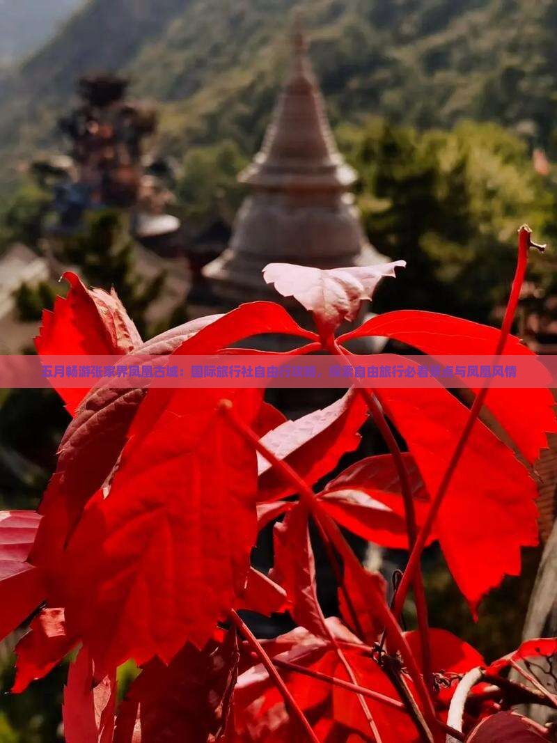 五月畅游张家界凤凰古城：国际旅行社自由行攻略，探索自由旅行必看景点与凤凰风情