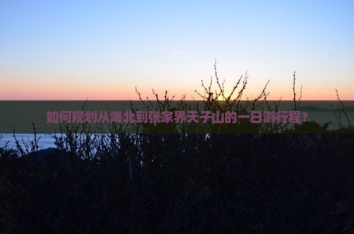 如何规划从海北到张家界天子山的一日游行程？