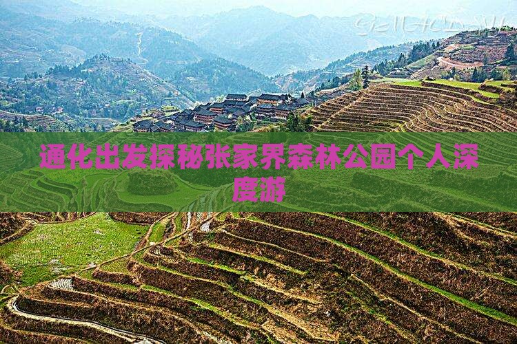 通化出发探秘张家界森林公园个人深度游