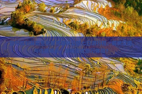 如何规划襄阳至张家界森林公园七日游行程，解决交通与住宿痛点，享柿浸式旅行体验？