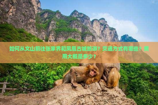 如何从文山前往张家界和凤凰古城旅游？交通方式有哪些？费用大概是多少？