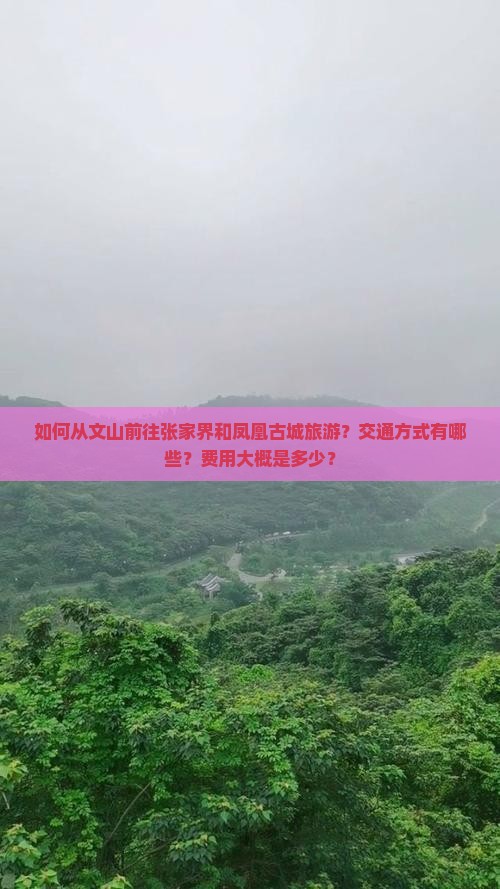 如何从文山前往张家界和凤凰古城旅游？交通方式有哪些？费用大概是多少？