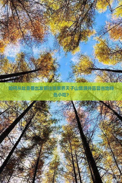 如何从吐鲁番出发前往张家界天子山旅游并品尝当地特色小吃？