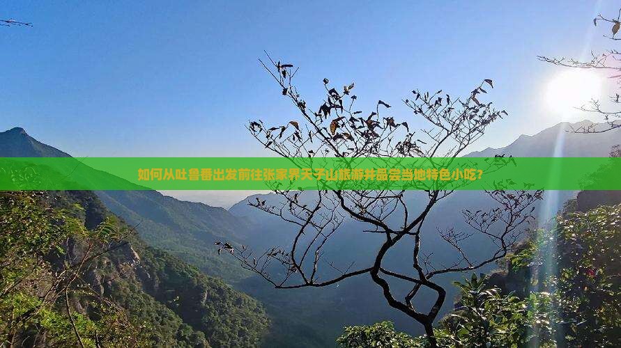 如何从吐鲁番出发前往张家界天子山旅游并品尝当地特色小吃？