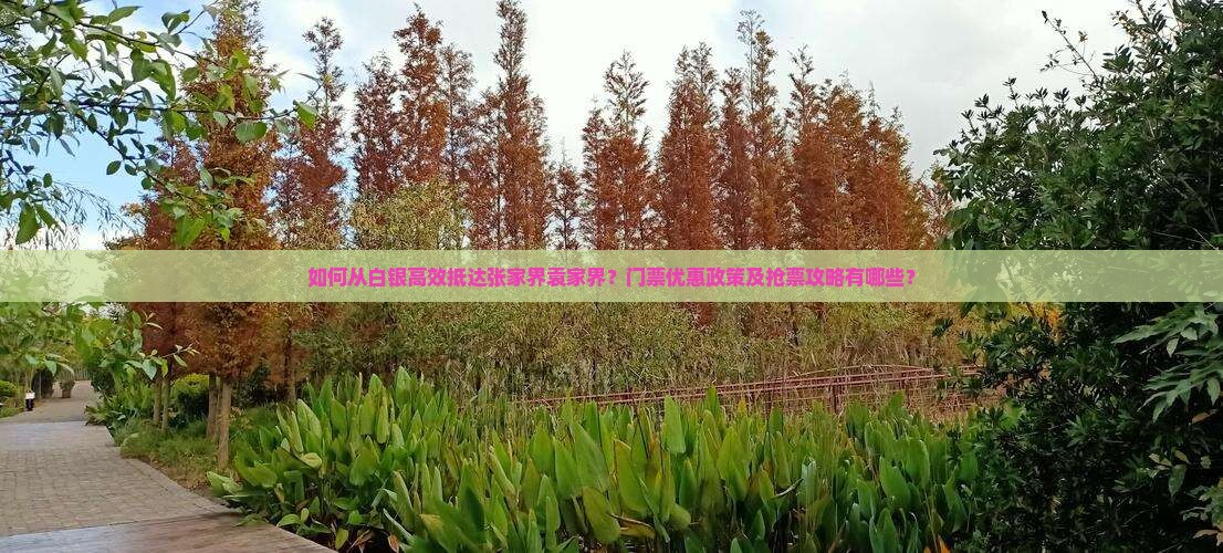 如何从白银高效抵达张家界袁家界？门票优惠政策及抢票攻略有哪些？