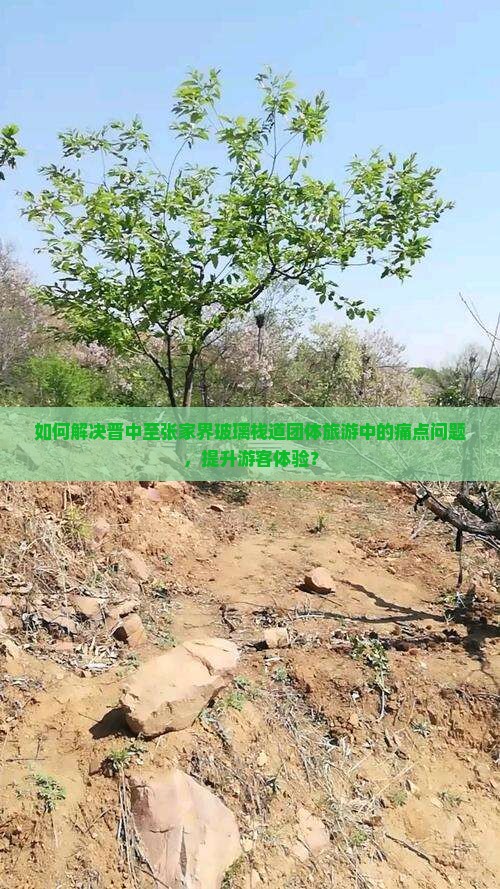 如何解决晋中至张家界玻璃栈道团体旅游中的痛点问题，提升游客体验？
